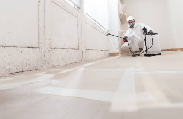 24/7 Emergency Mold Remediation experts in Oakhurst, NJ